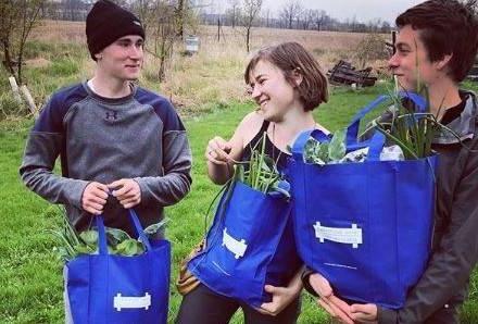 farm crew prepares CSA shares